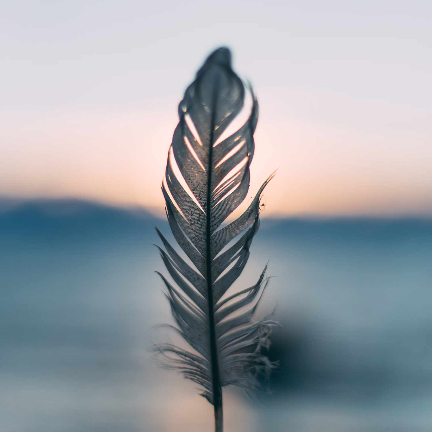 Acceptance and Commitment Therapy and Counselling Caloundra and Eumundi