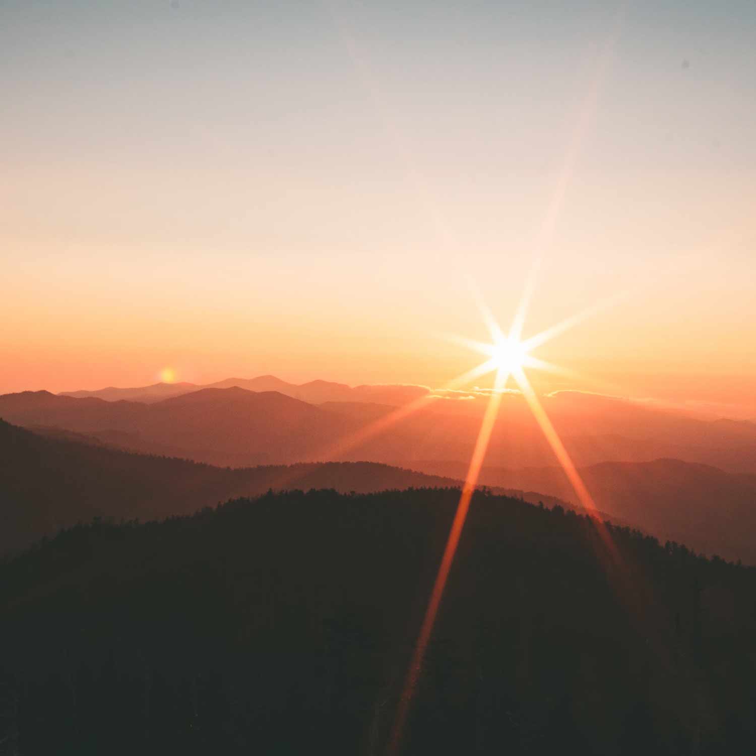 Joana Miranda providing professional psychoeducation services in Caloundra and Eumundi, helping individuals understand mental health, emotions, and coping strategies.