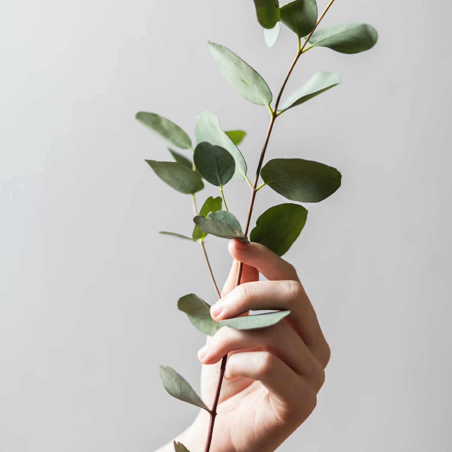 Joana Miranda offering professional psychological skills training in Caloundra and Eumundi, helping individuals develop coping strategies and improve emotional regulation.