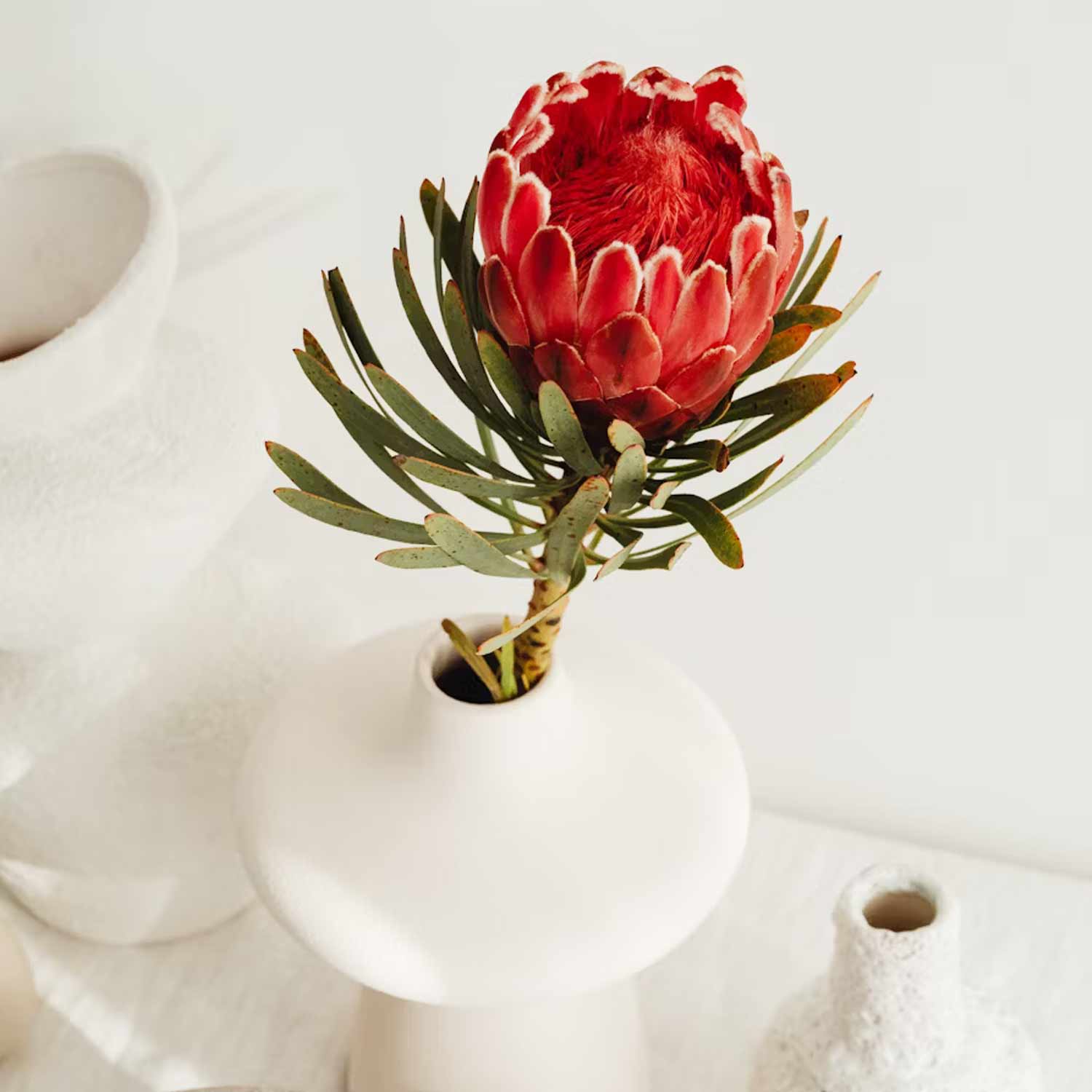 Therapy and Counselling Modalities Caloundra and Eumundi